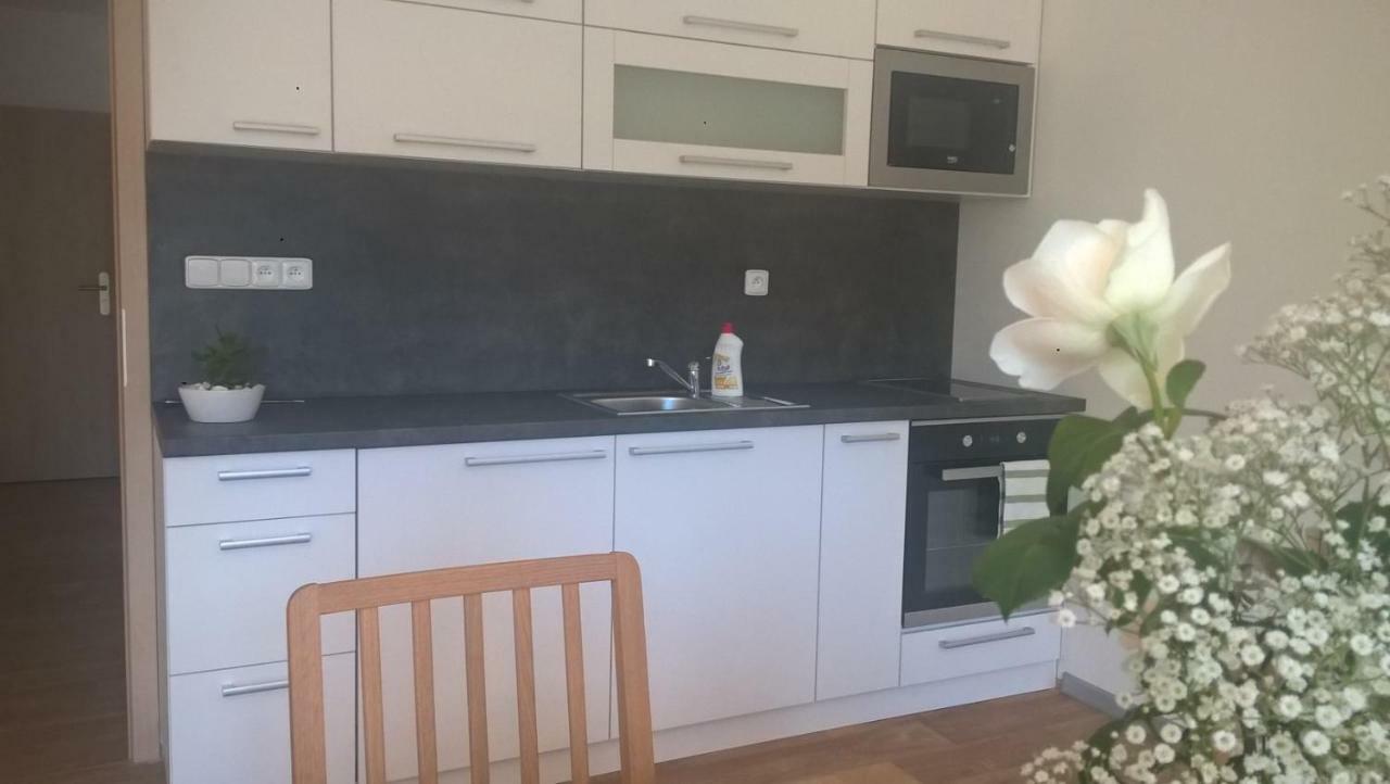 Apartman Nad Terasou Říčky Εξωτερικό φωτογραφία